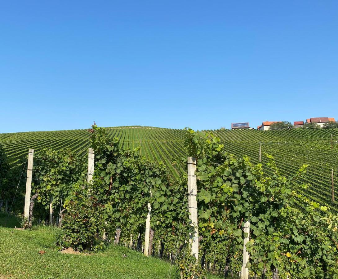 Wein Kultur Apartment Flavia Solva Wagna Екстер'єр фото