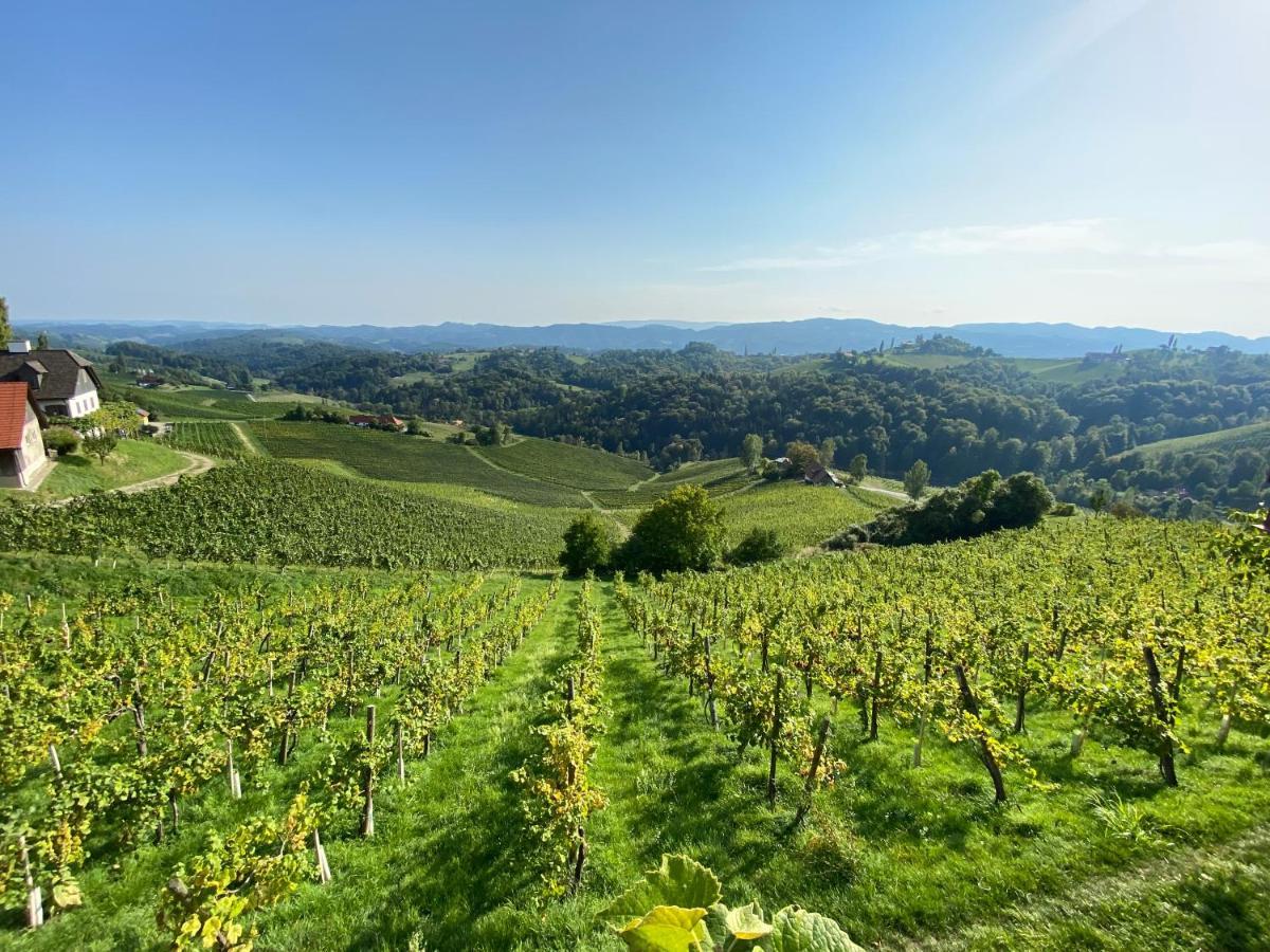 Wein Kultur Apartment Flavia Solva Wagna Екстер'єр фото